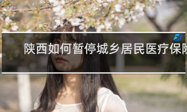 陕西如何暂停城乡居民医疗保险