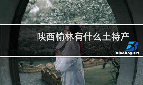 陕西榆林有什么土特产图片