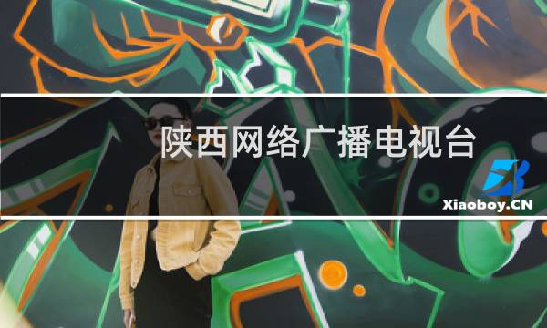 陕西网络广播电视台