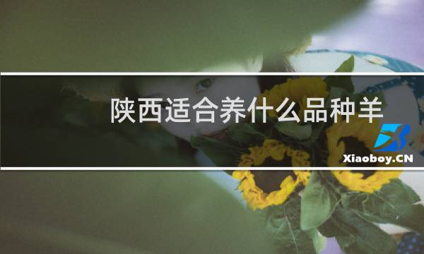 陕西适合养什么品种羊图片