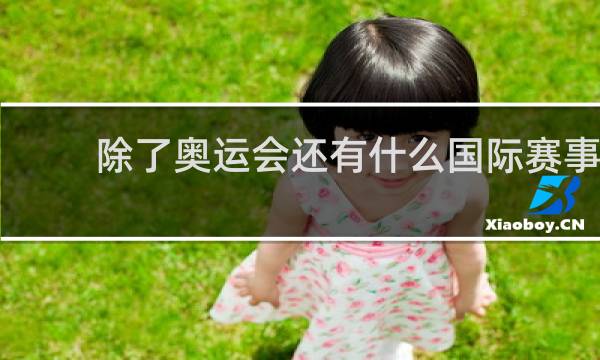 除了奥运会还有什么国际赛事