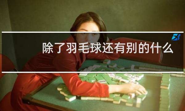 除了羽毛球还有别的什么
