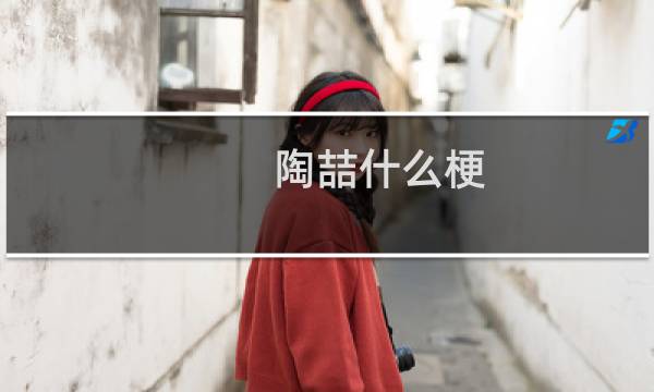 陶喆什么梗