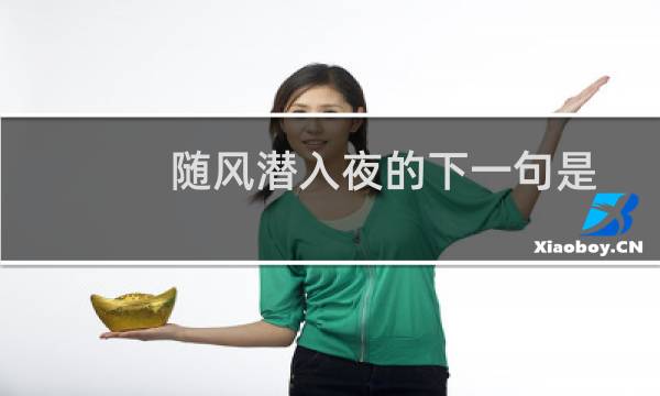 随风潜入夜的下一句是什么（随风潜入夜的下一句）图片