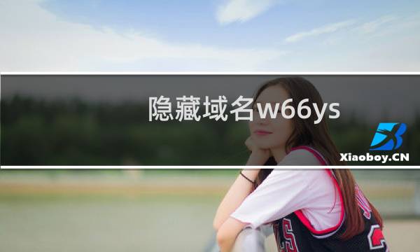 隐藏域名w66ys.com的whois