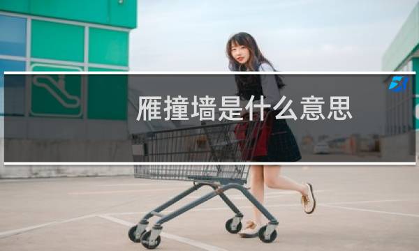 雁撞墙是什么意思