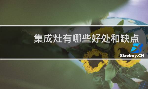 集成灶有哪些好处和缺点 盘点集成灶好处和缺点