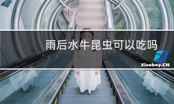 雨后水牛昆虫可以吃吗（雨后水牛昆虫能不能吃）