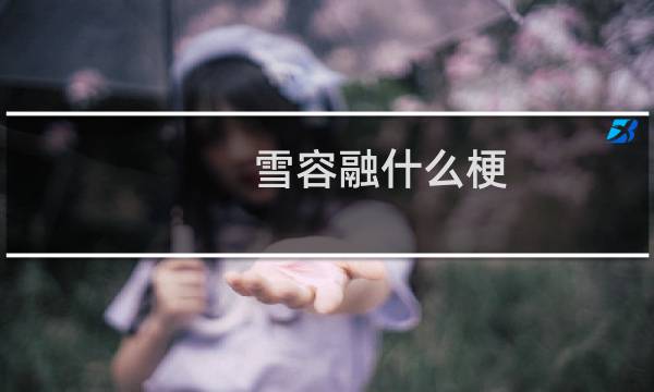 雪容融什么梗