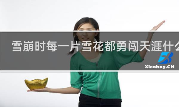 雪崩时每一片雪花都勇闯天涯什么梗？什么梗