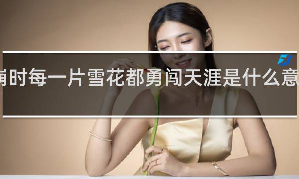 雪崩时每一片雪花都勇闯天涯是什么意思什么梗
