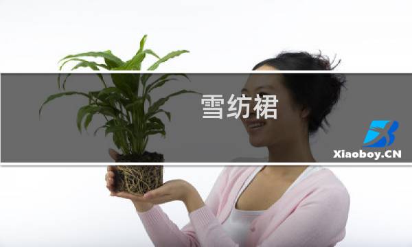 雪纺裙