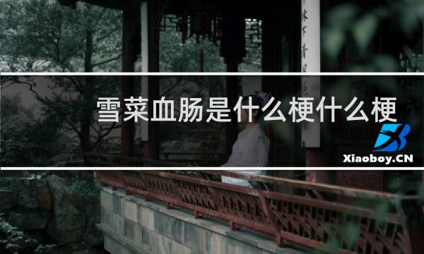 雪菜血肠是什么梗什么梗