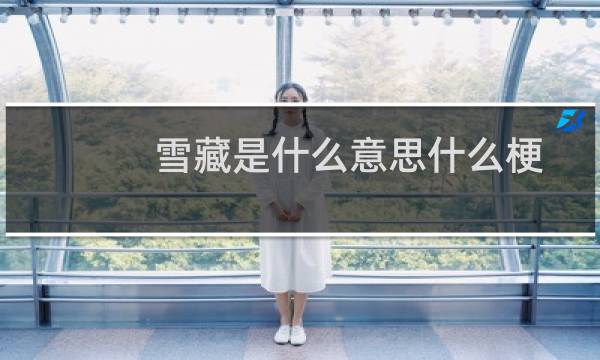 雪藏是什么意思什么梗