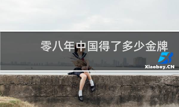 零八年中国得了多少金牌