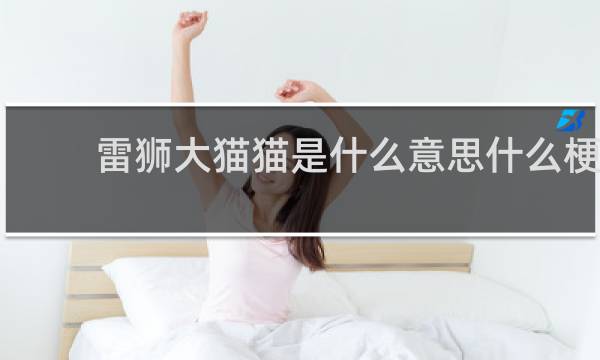 雷狮大猫猫是什么意思什么梗