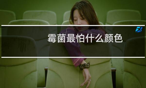 霉菌最怕什么颜色(霉菌最怕什么)