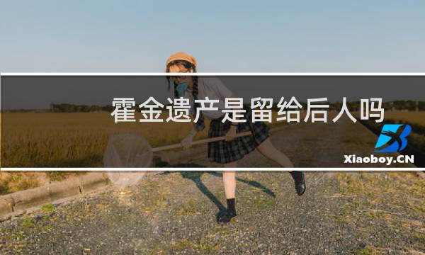 霍金遗产是留给后人吗（霍金遗作发售）图片
