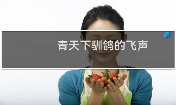 青天下驯鸽的飞声