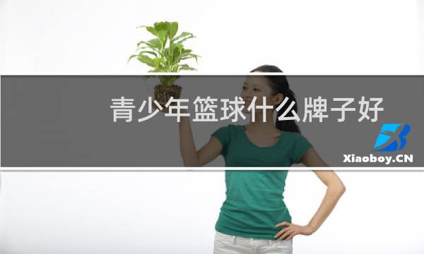 青少年篮球什么牌子好
