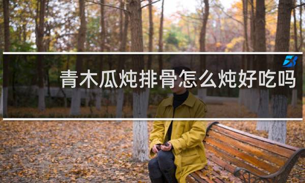 青木瓜炖排骨怎么炖好吃吗