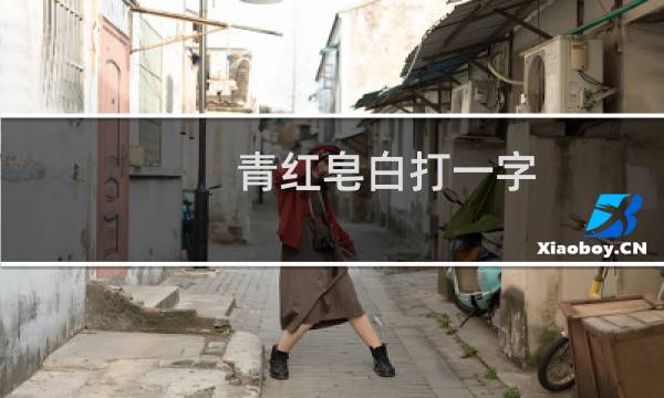 青红皂白打一字（青红皂白打一国家名）图片