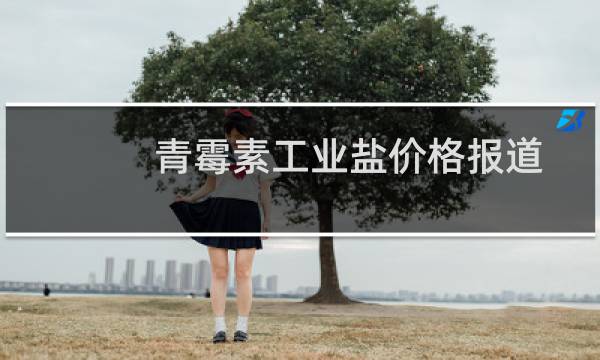 青霉素工业盐价格报道图片