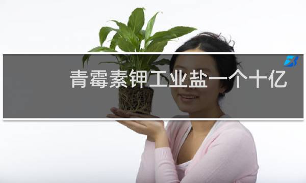 青霉素钾工业盐一个十亿有多重图片