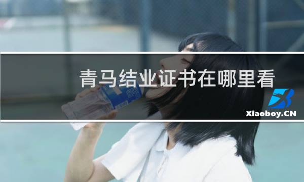 青马结业证书在哪里看