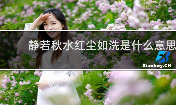 静若秋水红尘如洗是什么意思