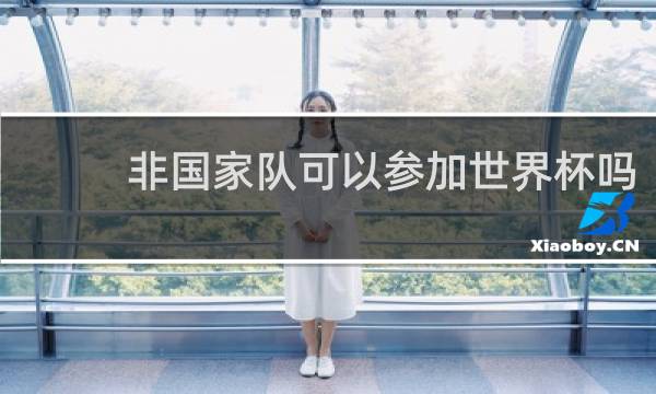 非国家队可以参加世界杯吗