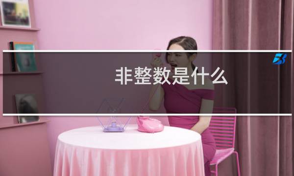 非整数是什么