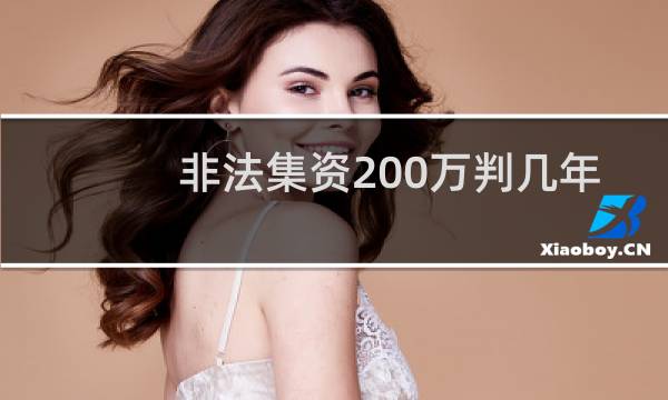 非法集资200万判几年