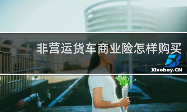 非营运货车商业险怎样购买