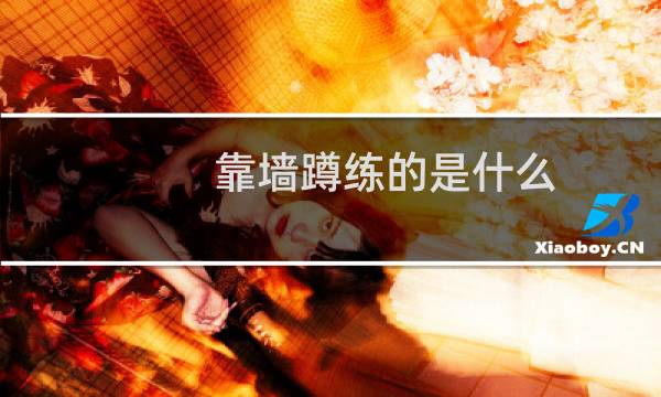 靠墙蹲练的是什么