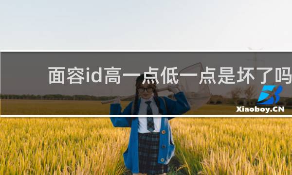 面容id高一点低一点是坏了吗