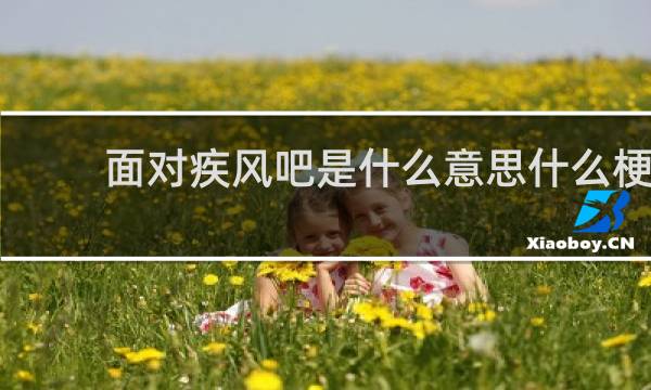 面對疾風吧是什么意思什么梗