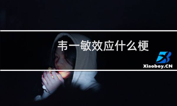 韦一敏效应什么梗