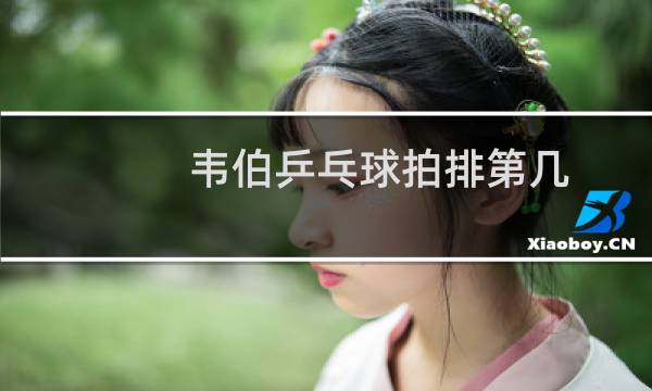 韦伯乒乓球拍排第几