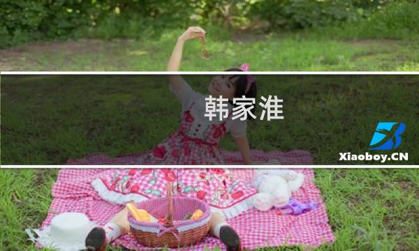 韩家淮图片