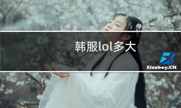 韩服lol多大