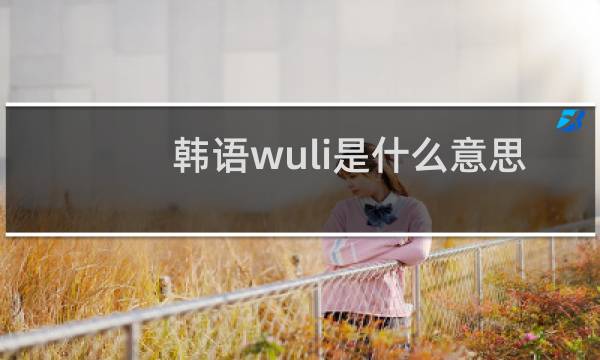 韩语wuli是什么意思（备注wuli是什么意思）什么梗