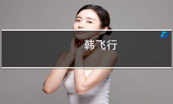 韩飞行