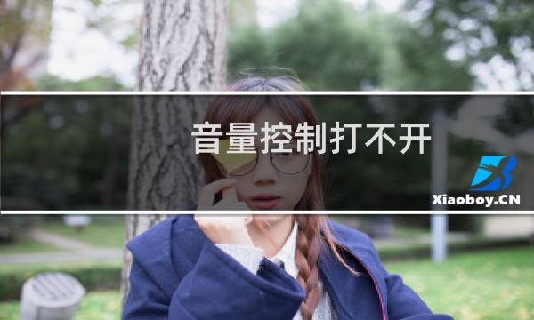 音量控制打不开（音量控制打不开怎么办）