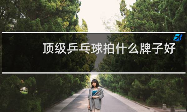 顶级乒乓球拍什么牌子好