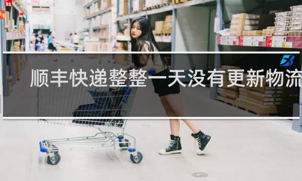 顺丰快递整整一天没有更新物流了