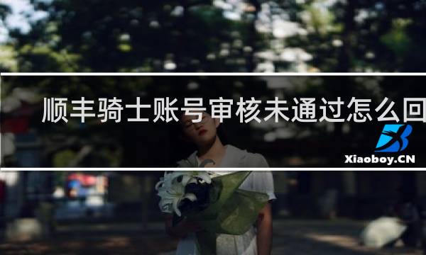 顺丰骑士账号审核未通过怎么回事