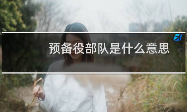 预备役部队是什么意思