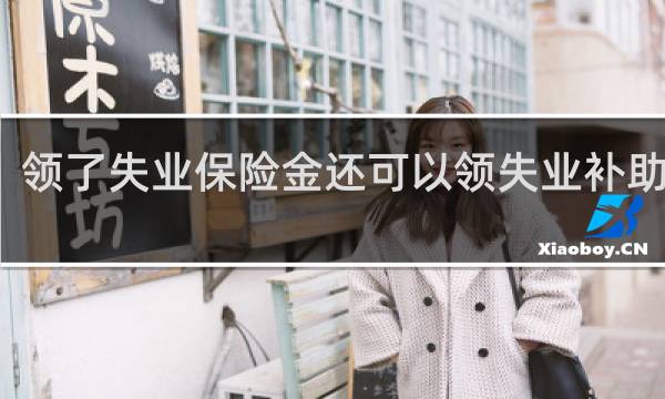 领了失业保险金还可以领失业补助金吗图片