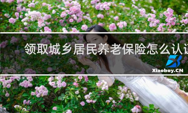 领取城乡居民养老保险怎么认证